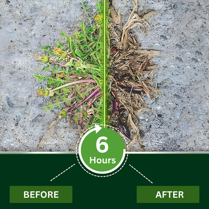 🌟 Official Store |Few Stocks Available🔥Hot Sale - 50% OFF🌿AEXZR® 2 in 1 Max Power Herbicide